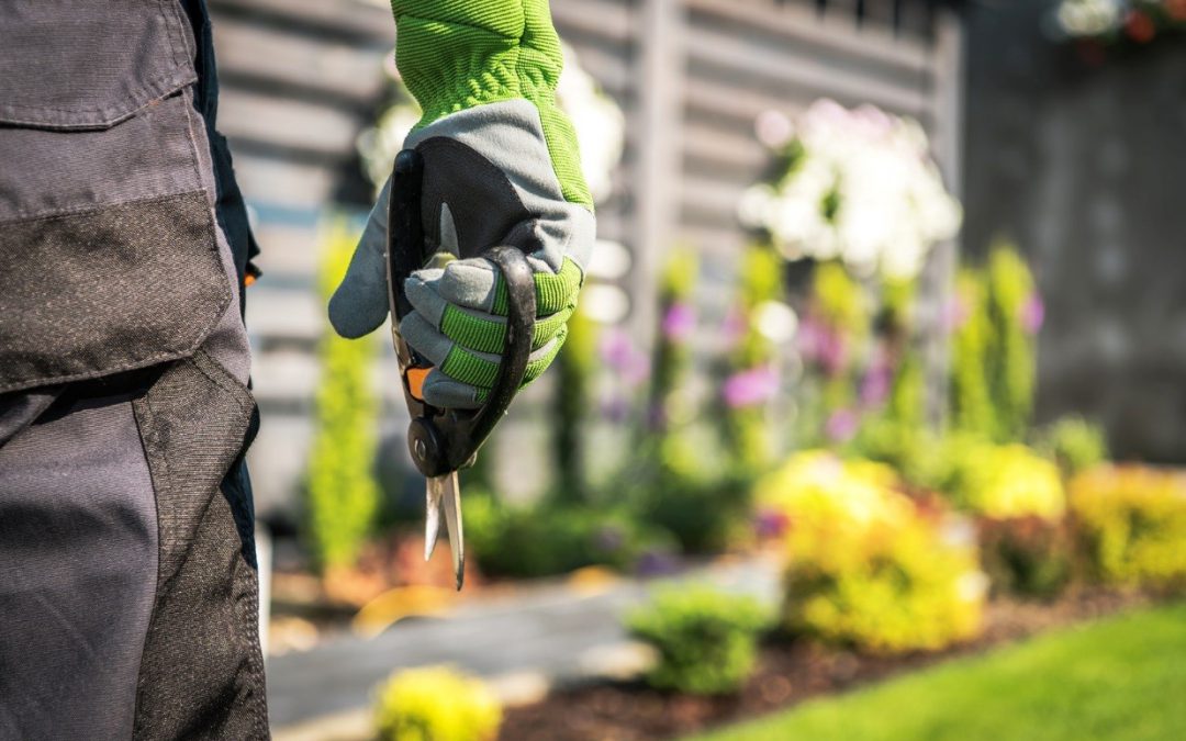 Hovenier in Amersfoort? Van Engelenhoven Bestrating